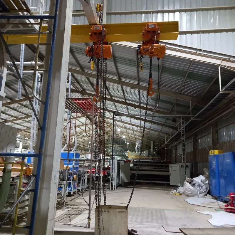 Hoist Crane Sedco Jaya 1